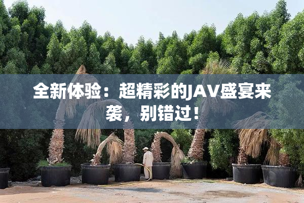 全新体验：超精彩的JAV盛宴来袭，别错过！