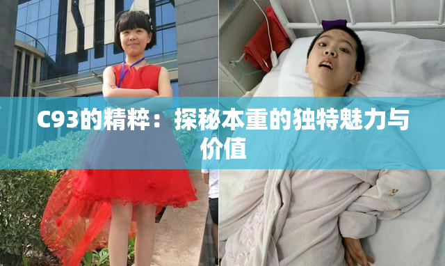 C93的精粹：探秘本重的独特魅力与价值