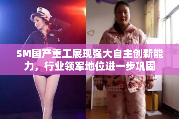 SM国产重工展现强大自主创新能力，行业领军地位进一步巩固