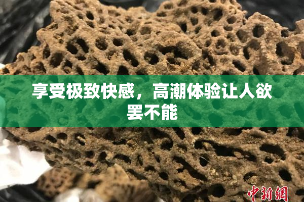 享受极致快感，高潮体验让人欲罢不能