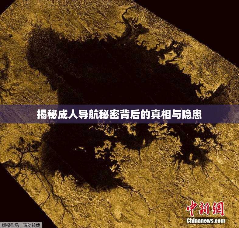 揭秘成人导航秘密背后的真相与隐患