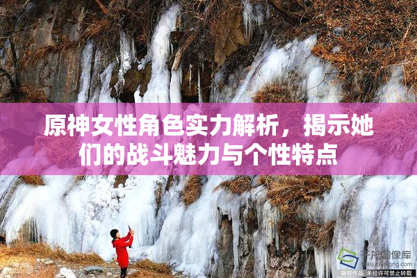 原神女性角色实力解析，揭示她们的战斗魅力与个性特点