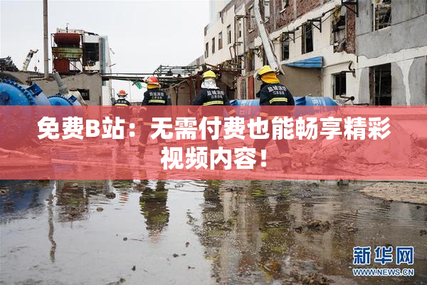 免费B站：无需付费也能畅享精彩视频内容！
