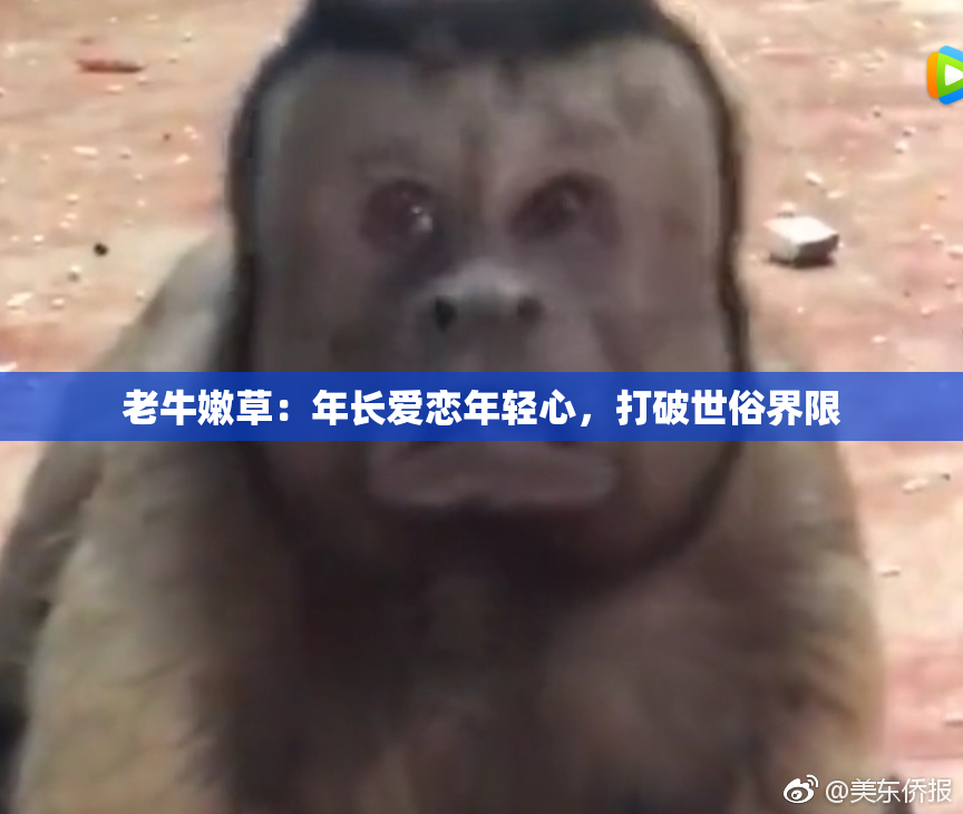 老牛嫩草：年长爱恋年轻心，打破世俗界限