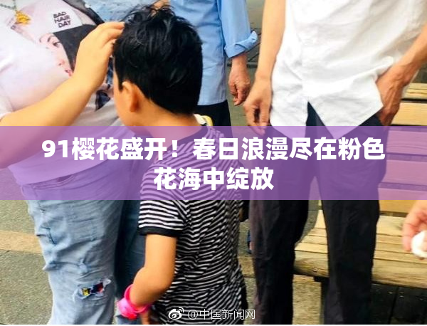 91樱花盛开！春日浪漫尽在粉色花海中绽放