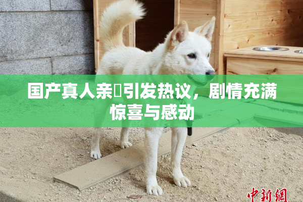 国产真人亲妺引发热议，剧情充满惊喜与感动