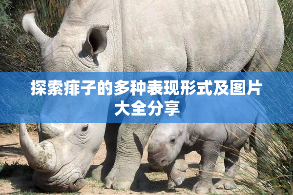 探索痱子的多种表现形式及图片大全分享