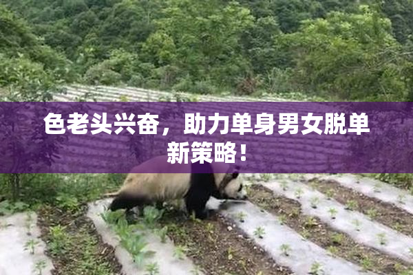色老头兴奋，助力单身男女脱单新策略！