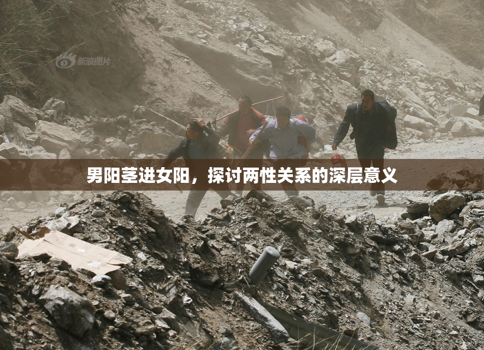 男阳茎进女阳，探讨两性关系的深层意义