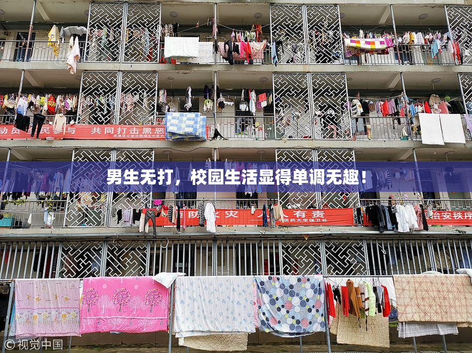 男生无打，校园生活显得单调无趣！
