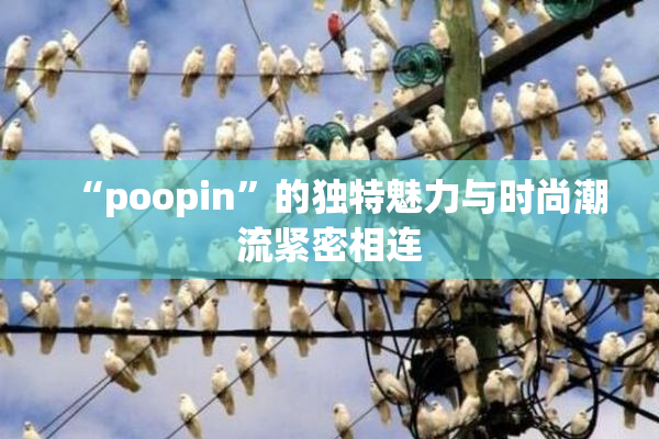 “poopin”的独特魅力与时尚潮流紧密相连