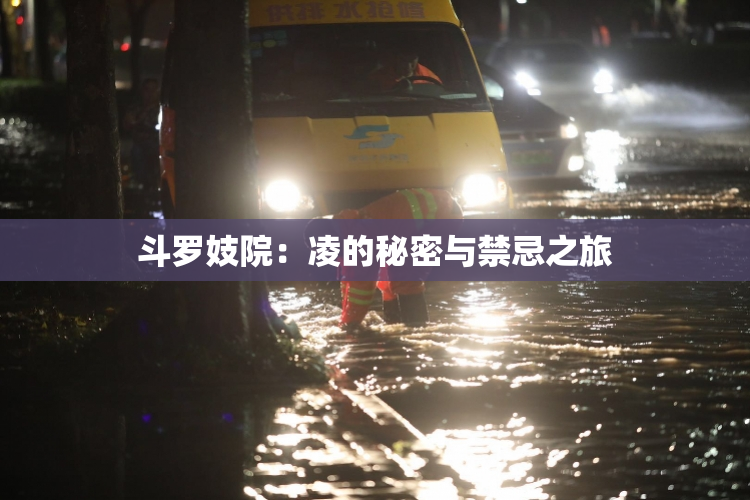 斗罗妓院：凌的秘密与禁忌之旅