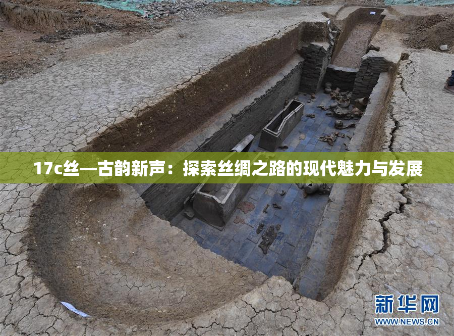 17c丝—古韵新声：探索丝绸之路的现代魅力与发展