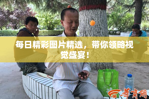 每日精彩图片精选，带你领略视觉盛宴！