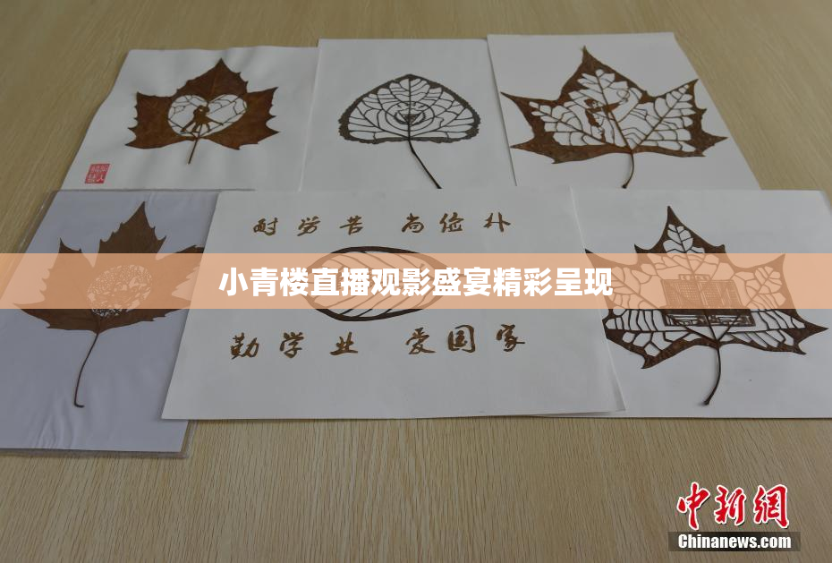 小青楼直播观影盛宴精彩呈现