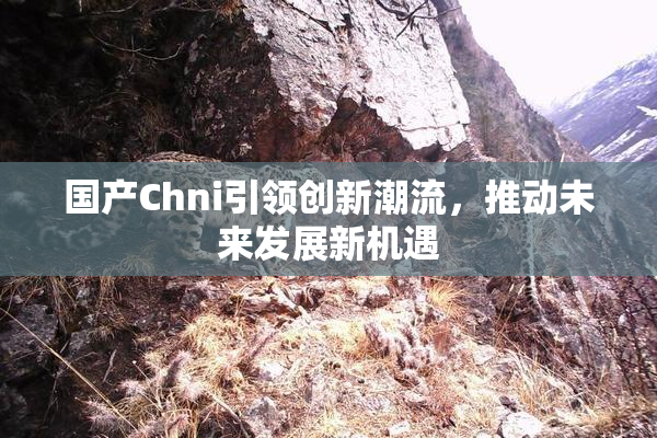 国产Chni引领创新潮流，推动未来发展新机遇