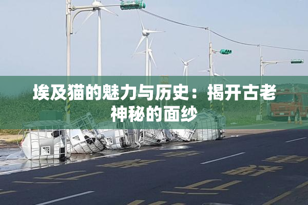 埃及猫的魅力与历史：揭开古老神秘的面纱