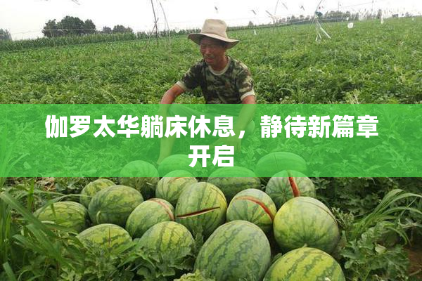伽罗太华躺床休息，静待新篇章开启