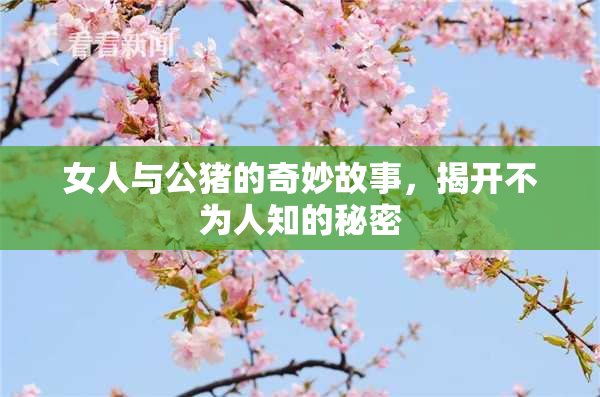 女人与公猪的奇妙故事，揭开不为人知的秘密
