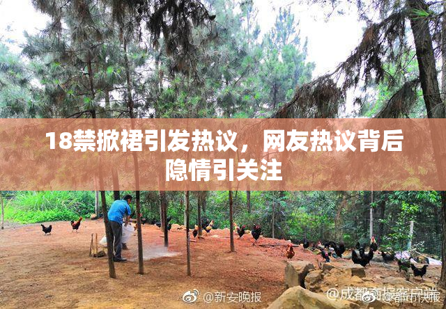 18禁掀裙引发热议，网友热议背后隐情引关注