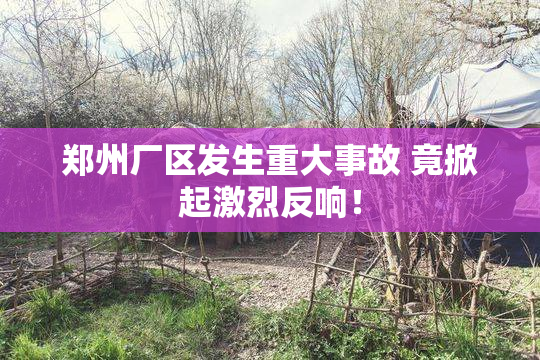 郑州厂区发生重大事故 竟掀起激烈反响！