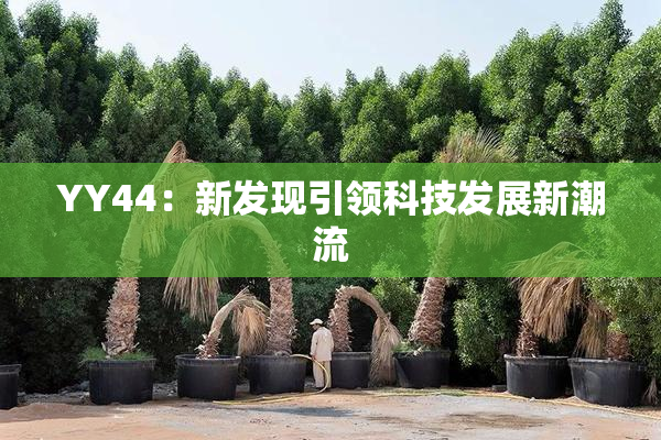 YY44：新发现引领科技发展新潮流