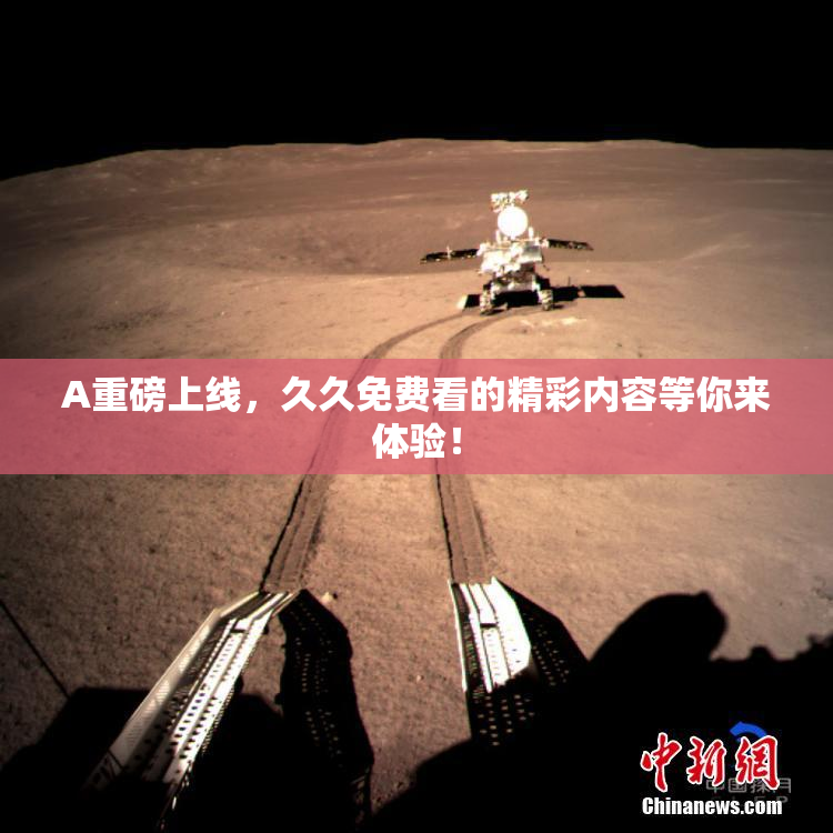 A重磅上线，久久免费看的精彩内容等你来体验！