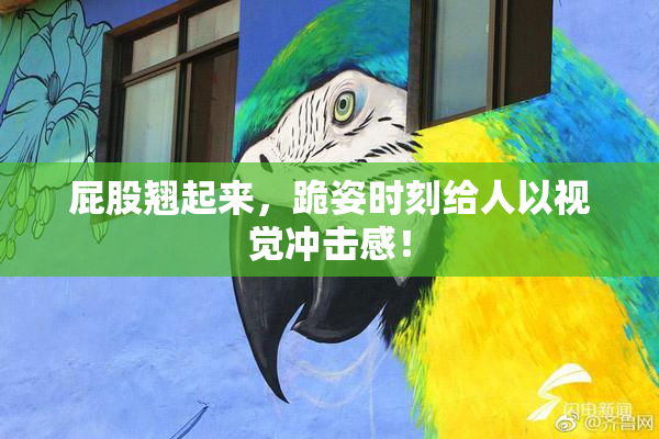 屁股翘起来，跪姿时刻给人以视觉冲击感！