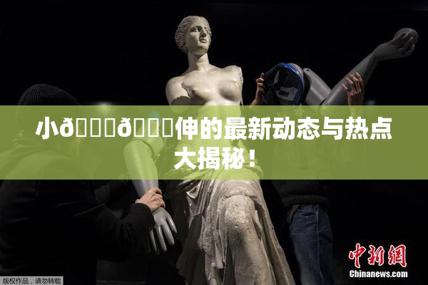 小🐔🐔伸的最新动态与热点大揭秘！