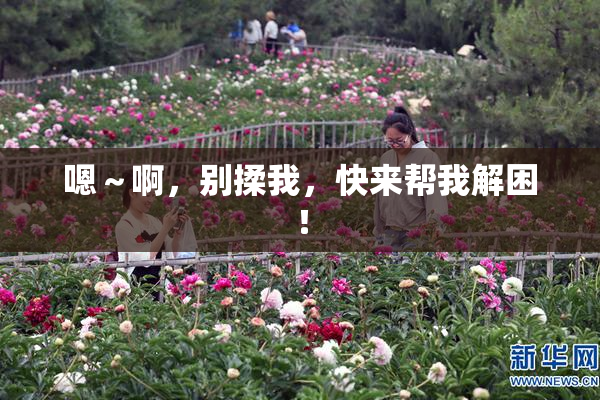 嗯～啊，别揉我，快来帮我解困！