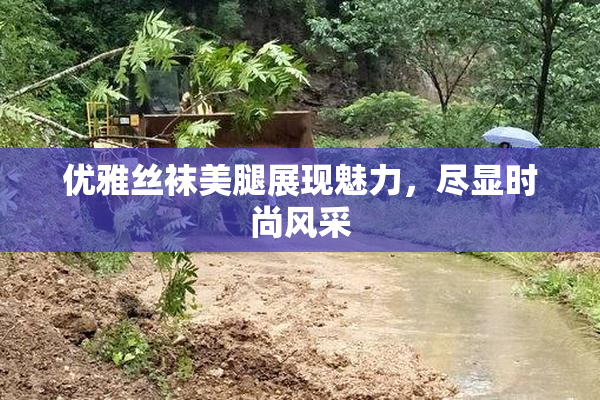 优雅丝袜美腿展现魅力，尽显时尚风采