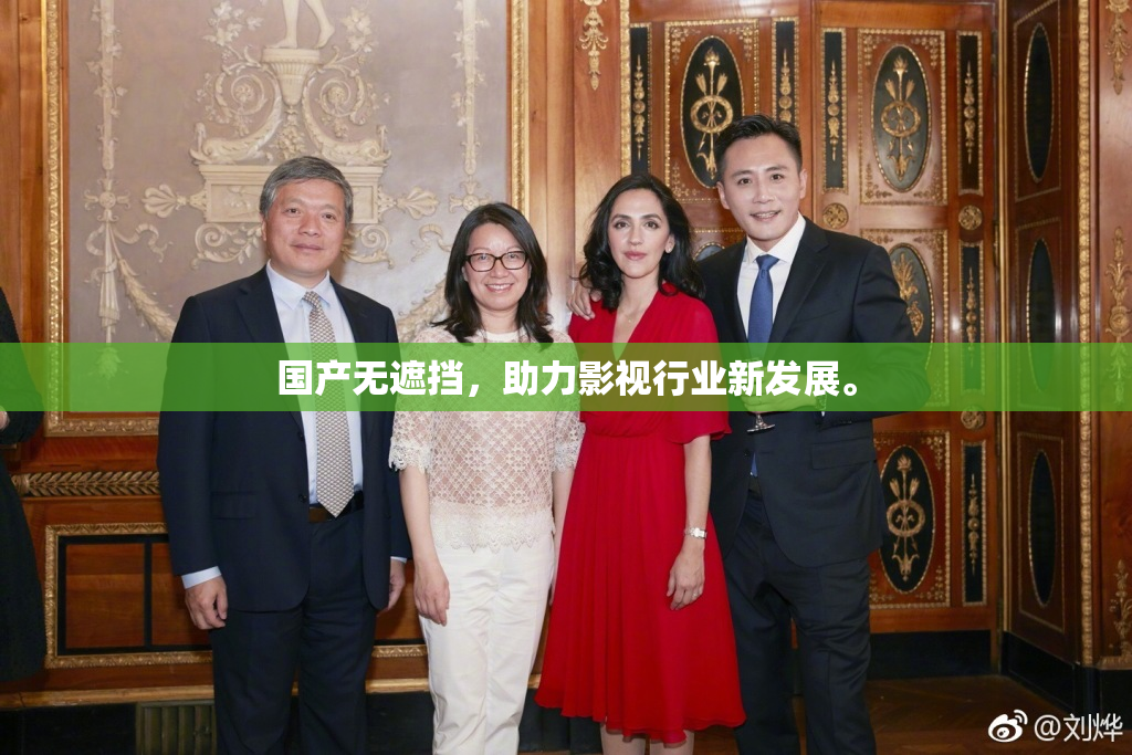 国产无遮挡，助力影视行业新发展。