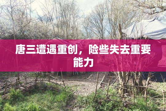 唐三遭遇重创，险些失去重要能力