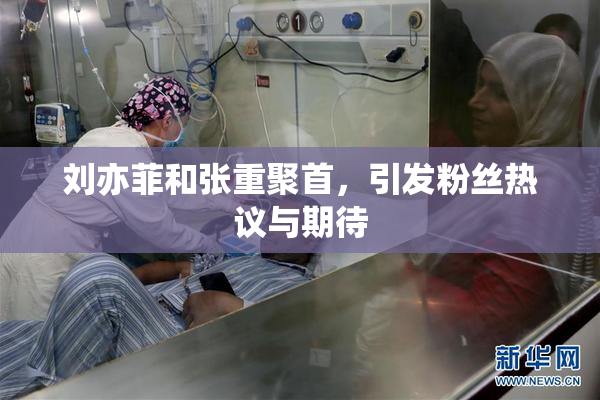 刘亦菲和张重聚首，引发粉丝热议与期待