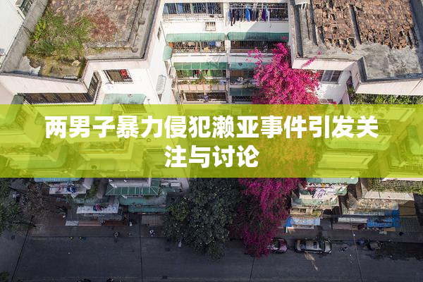 两男子暴力侵犯濑亚事件引发关注与讨论