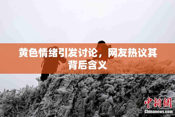 黄色情绪引发讨论，网友热议其背后含义