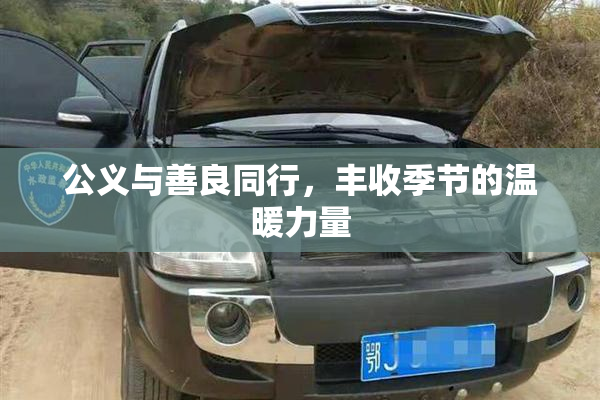 公义与善良同行，丰收季节的温暖力量
