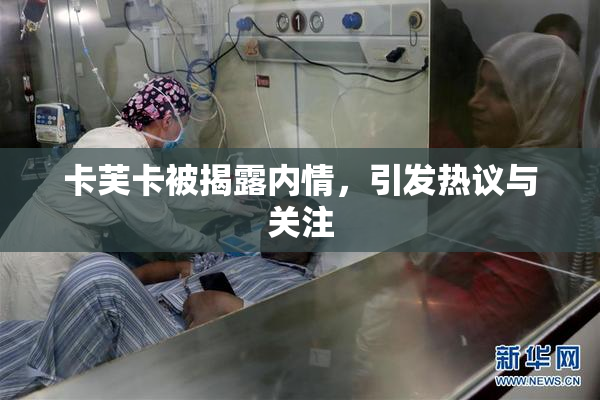 卡芙卡被揭露内情，引发热议与关注