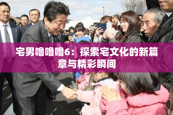 宅男噜噜噜6：探索宅文化的新篇章与精彩瞬间