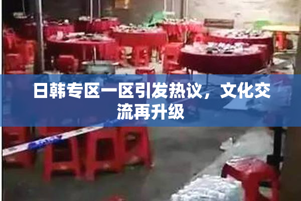 日韩专区一区引发热议，文化交流再升级