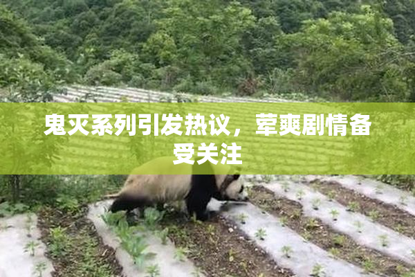 鬼灭系列引发热议，荤爽剧情备受关注