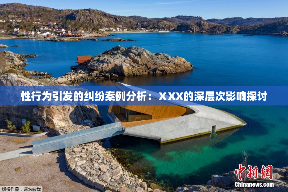性行为引发的纠纷案例分析：ⅩXX的深层次影响探讨