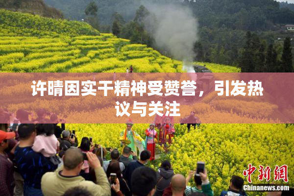 许晴因实干精神受赞誉，引发热议与关注