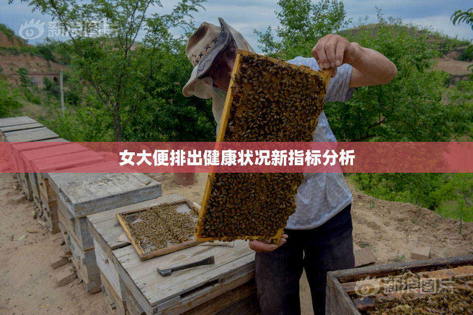 女大便排出健康状况新指标分析