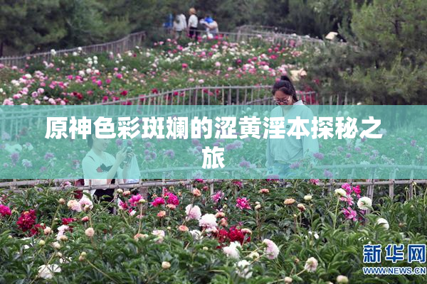 原神色彩斑斓的涩黄淫本探秘之旅