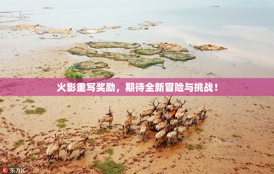 火影重写奖励，期待全新冒险与挑战！