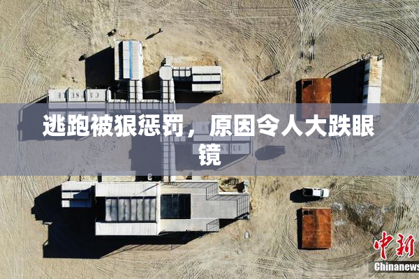 逃跑被狠惩罚，原因令人大跌眼镜