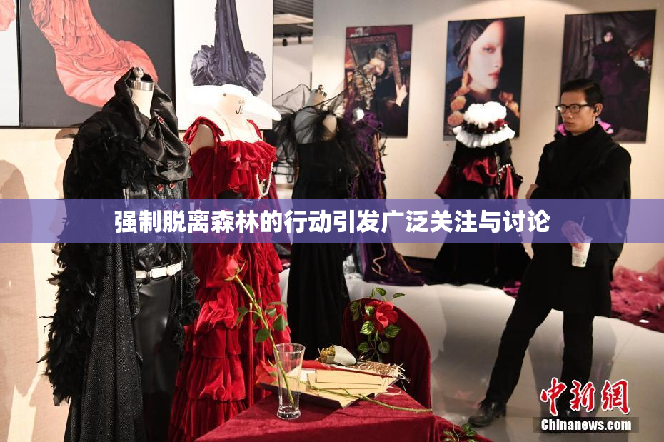 强制脱离森林的行动引发广泛关注与讨论