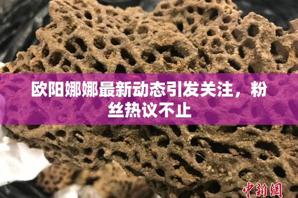 欧阳娜娜最新动态引发关注，粉丝热议不止