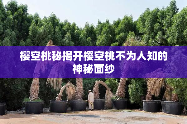 樱空桃秘揭开樱空桃不为人知的神秘面纱
